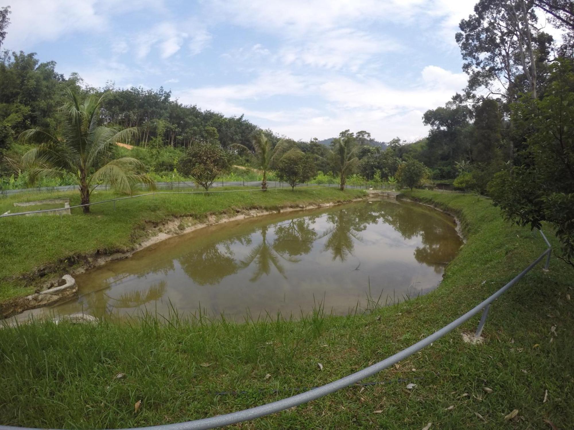 Santai De Lui Resorts Kampong Masjid  ภายนอก รูปภาพ
